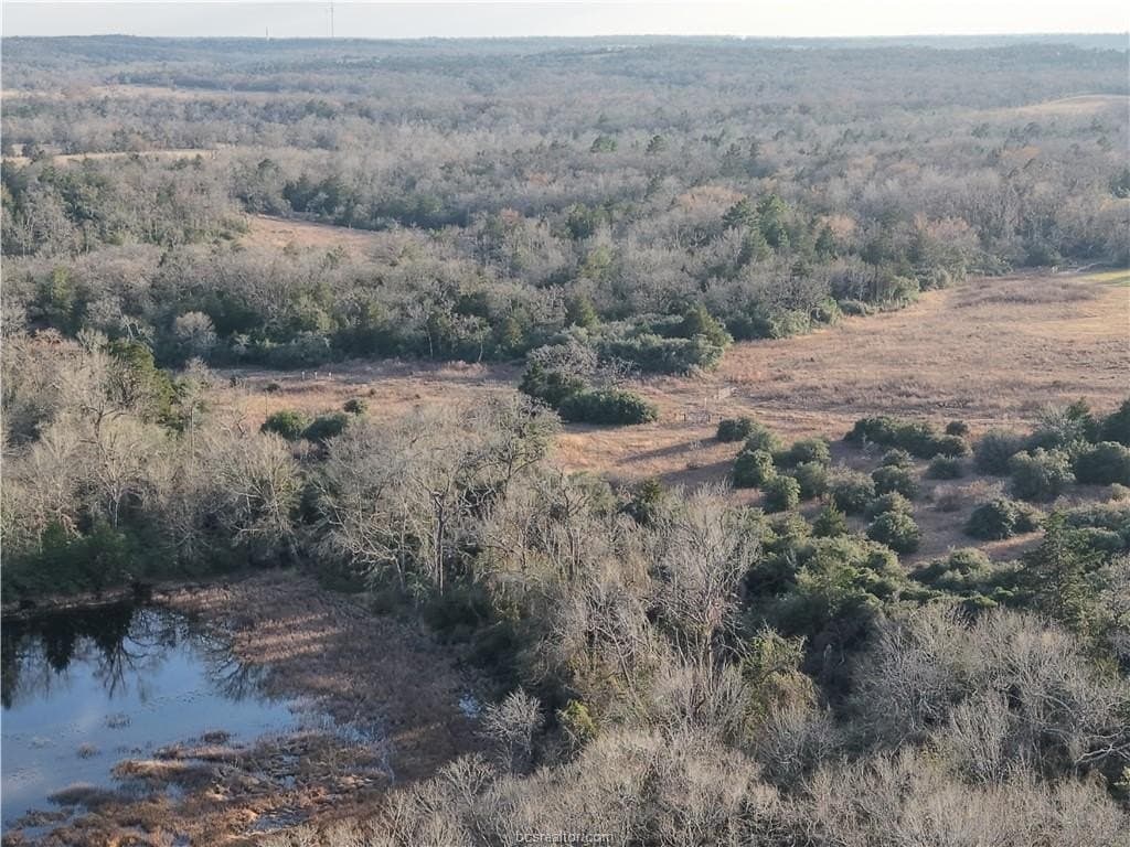 60 acres in Leon County gallery image 3