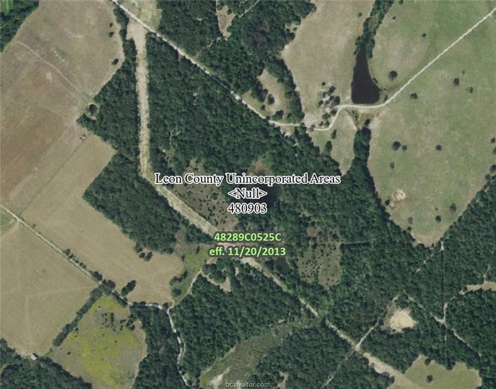 60 acres in Leon County - photo 10