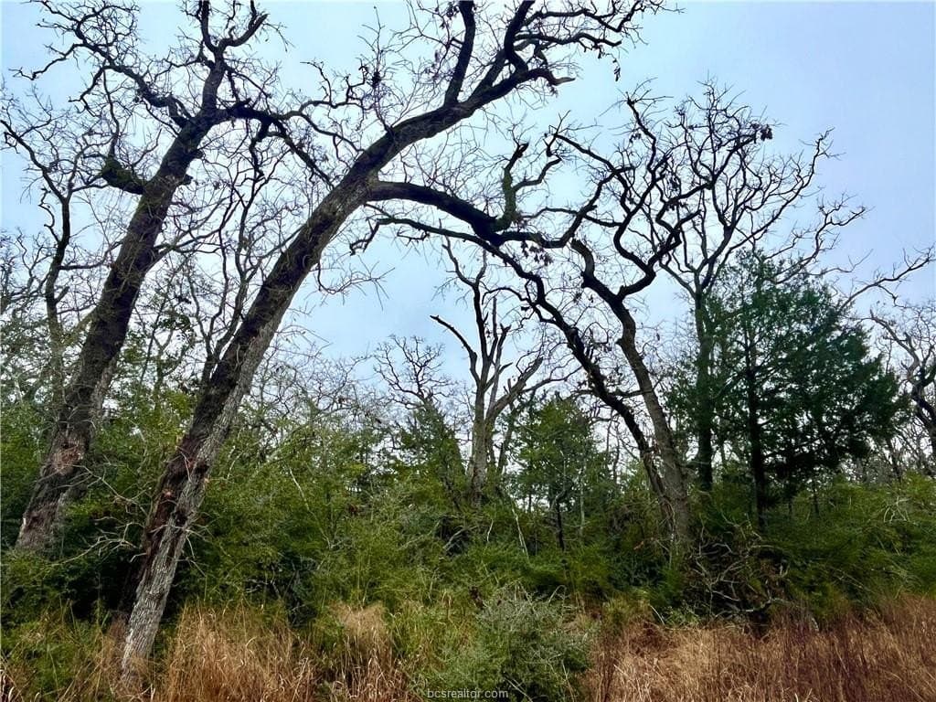 60 acres in Leon County - photo 9