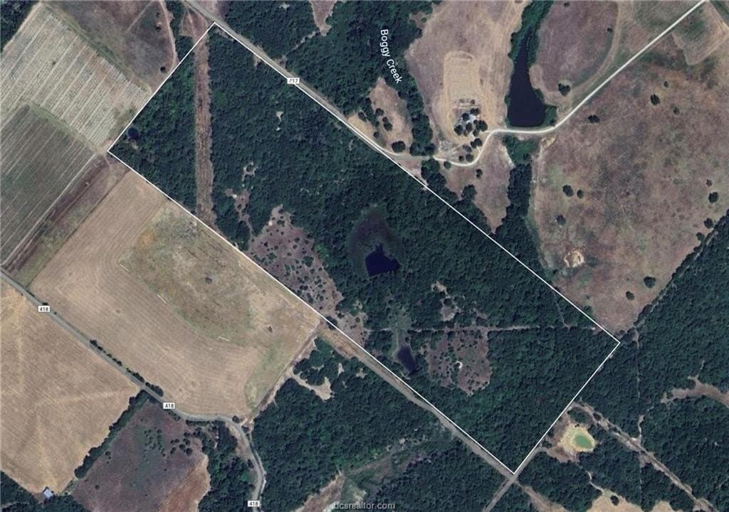 60 acres in Leon County gallery image 2