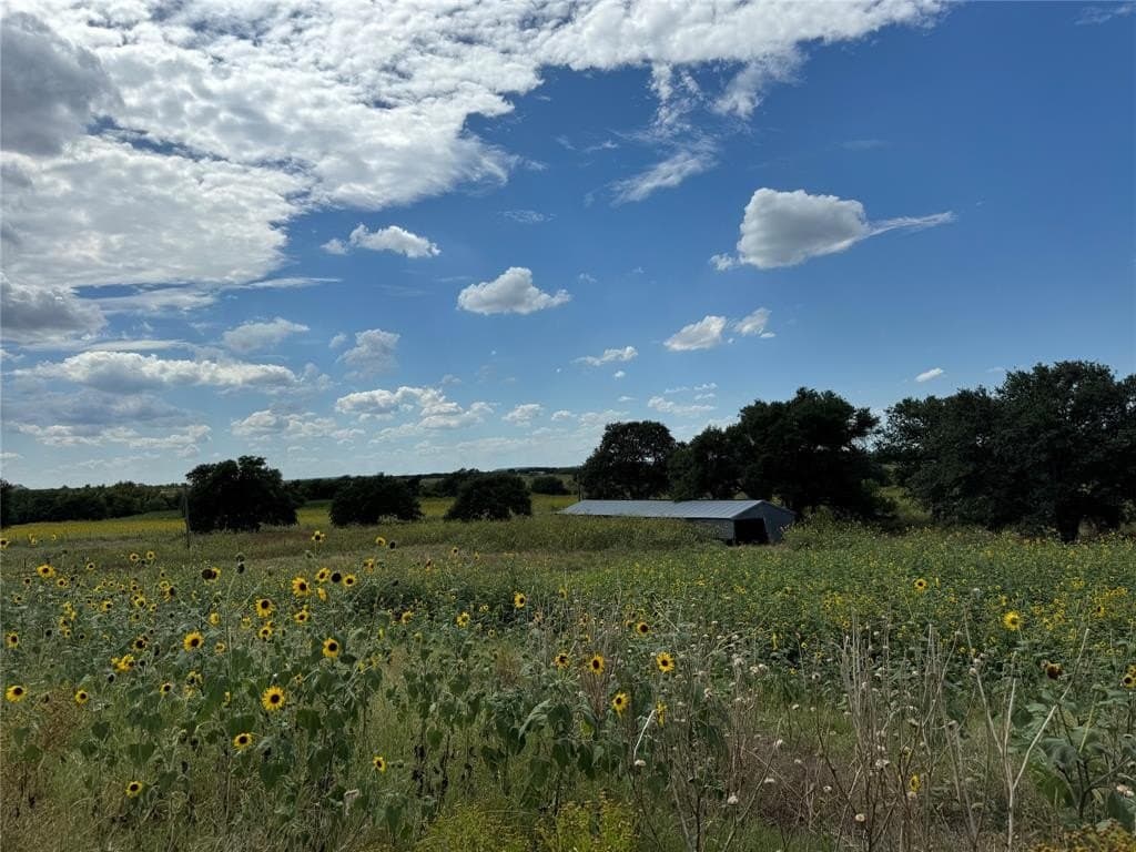 50 acres in Hamilton County gallery image 4
