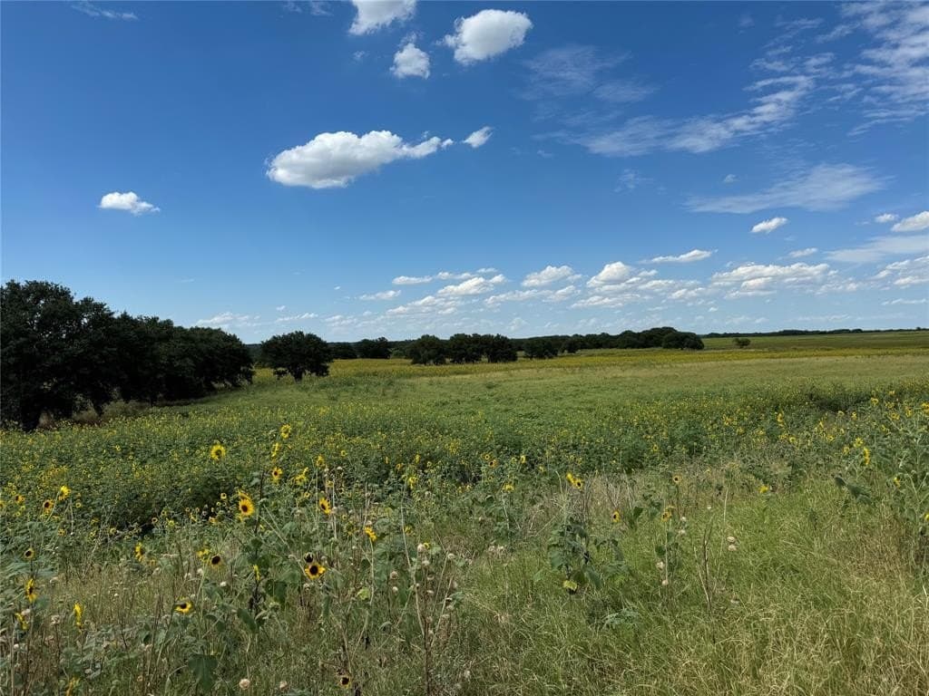 50 acres in Hamilton County gallery image 3