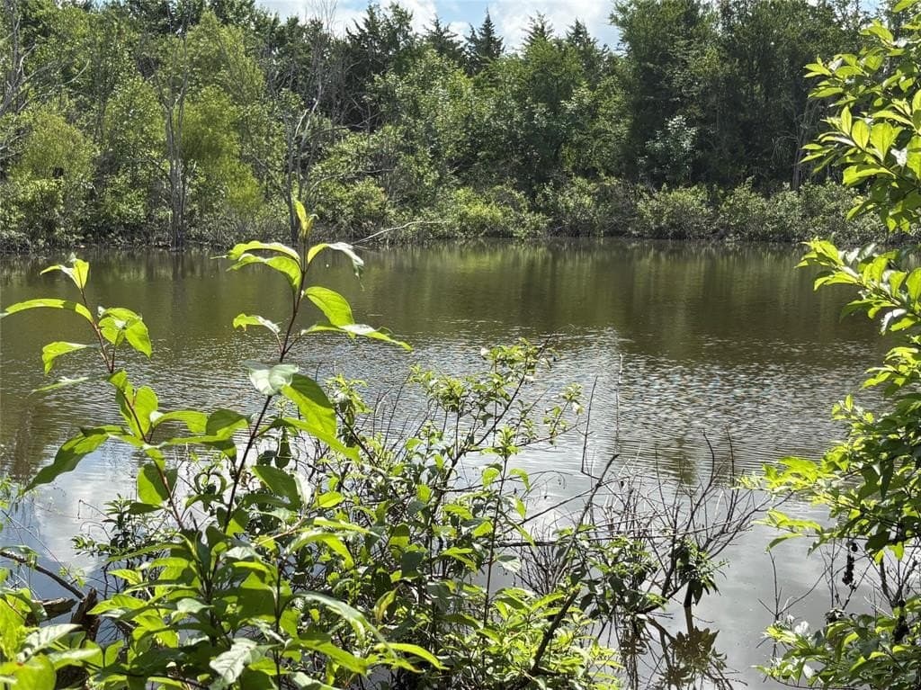 99.61 acres in Red River (TX) County gallery image 2