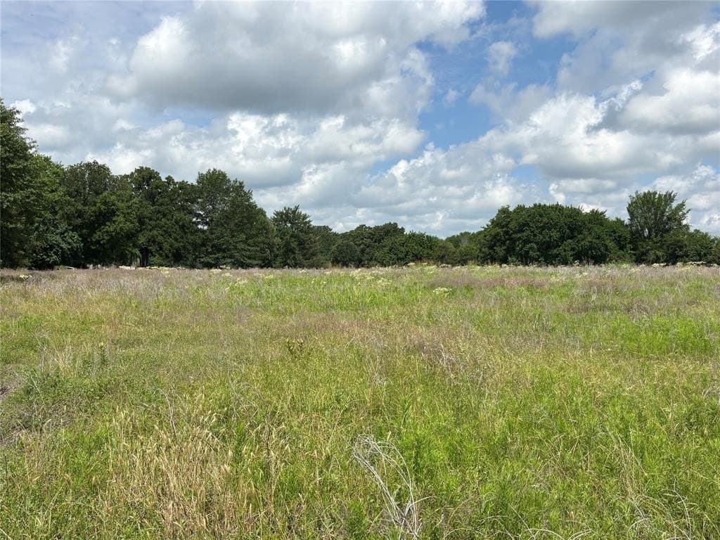 99.61 acres in Red River (TX) County gallery image 4