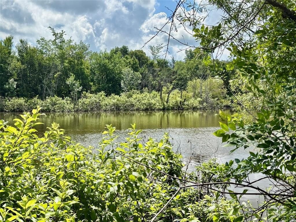 99.61 acres in Red River (TX) County gallery image 3