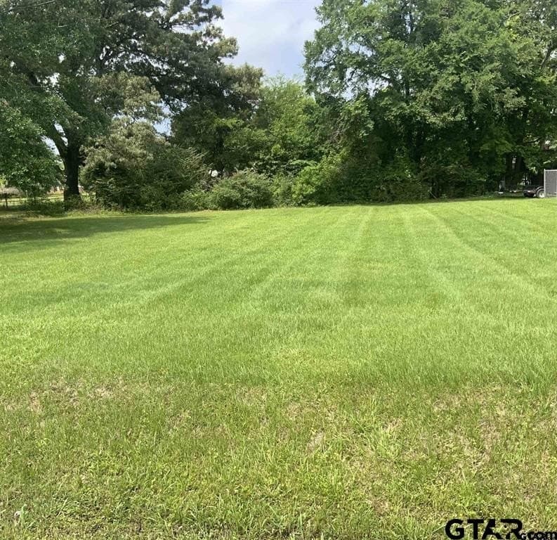 0 acres in Henderson County gallery image 2