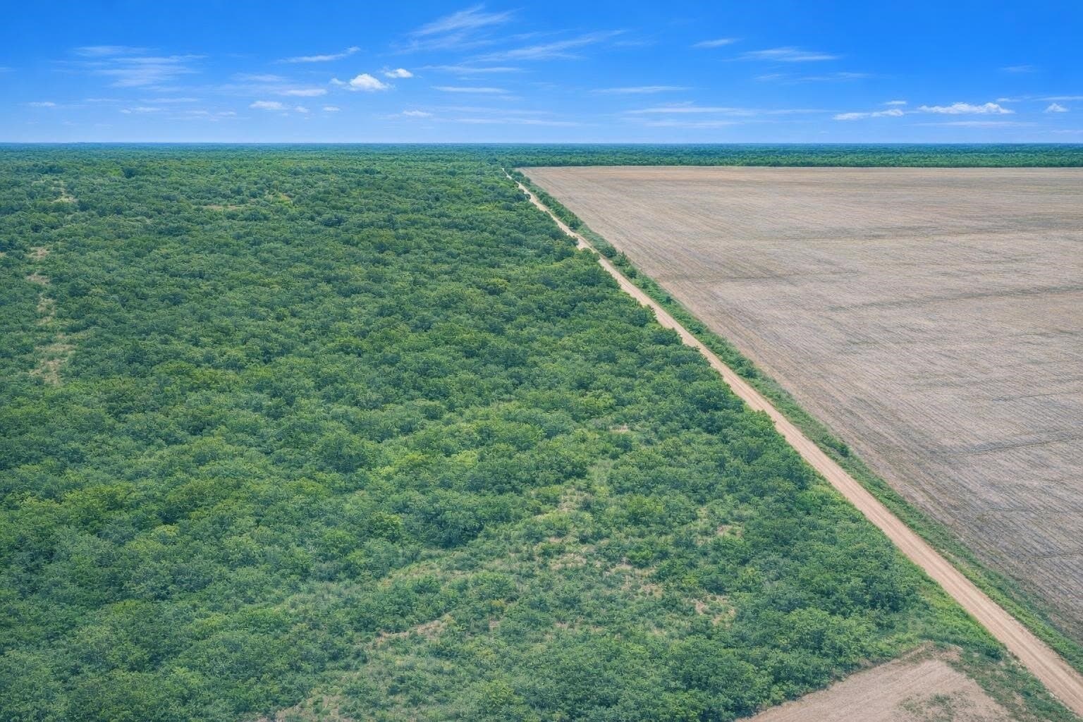 25.54 acres in Jones County - photo 6