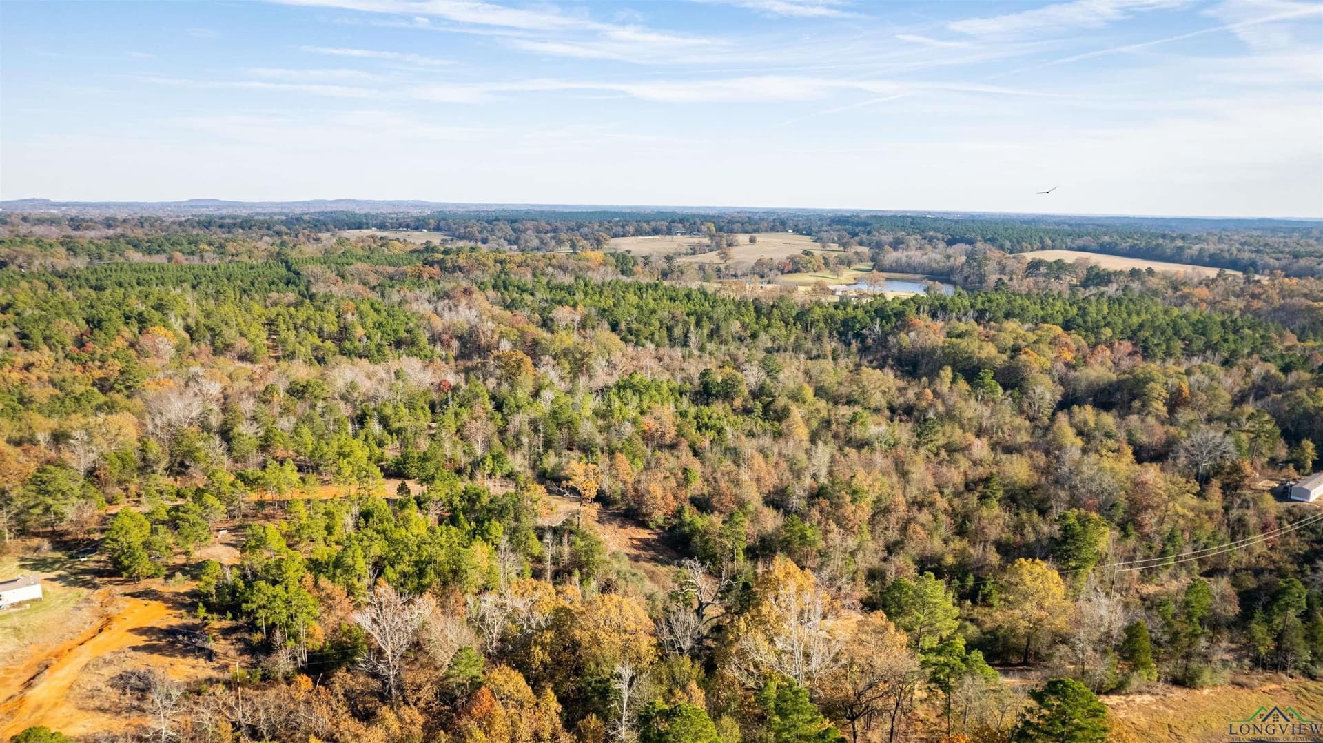 11.1 acres in Texas County featured view