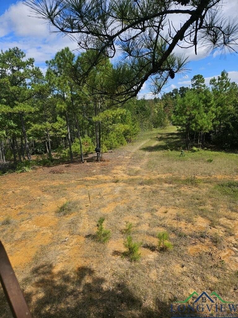 11.1 acres in Texas County