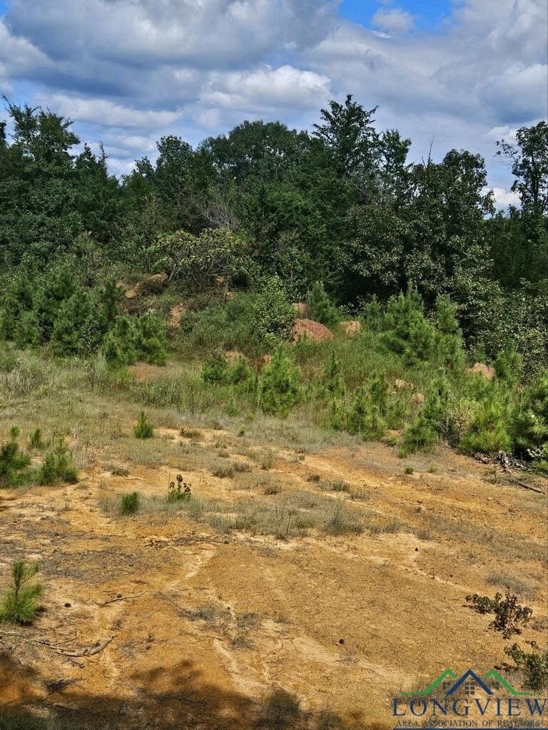 11.1 acres in Texas County gallery image 2