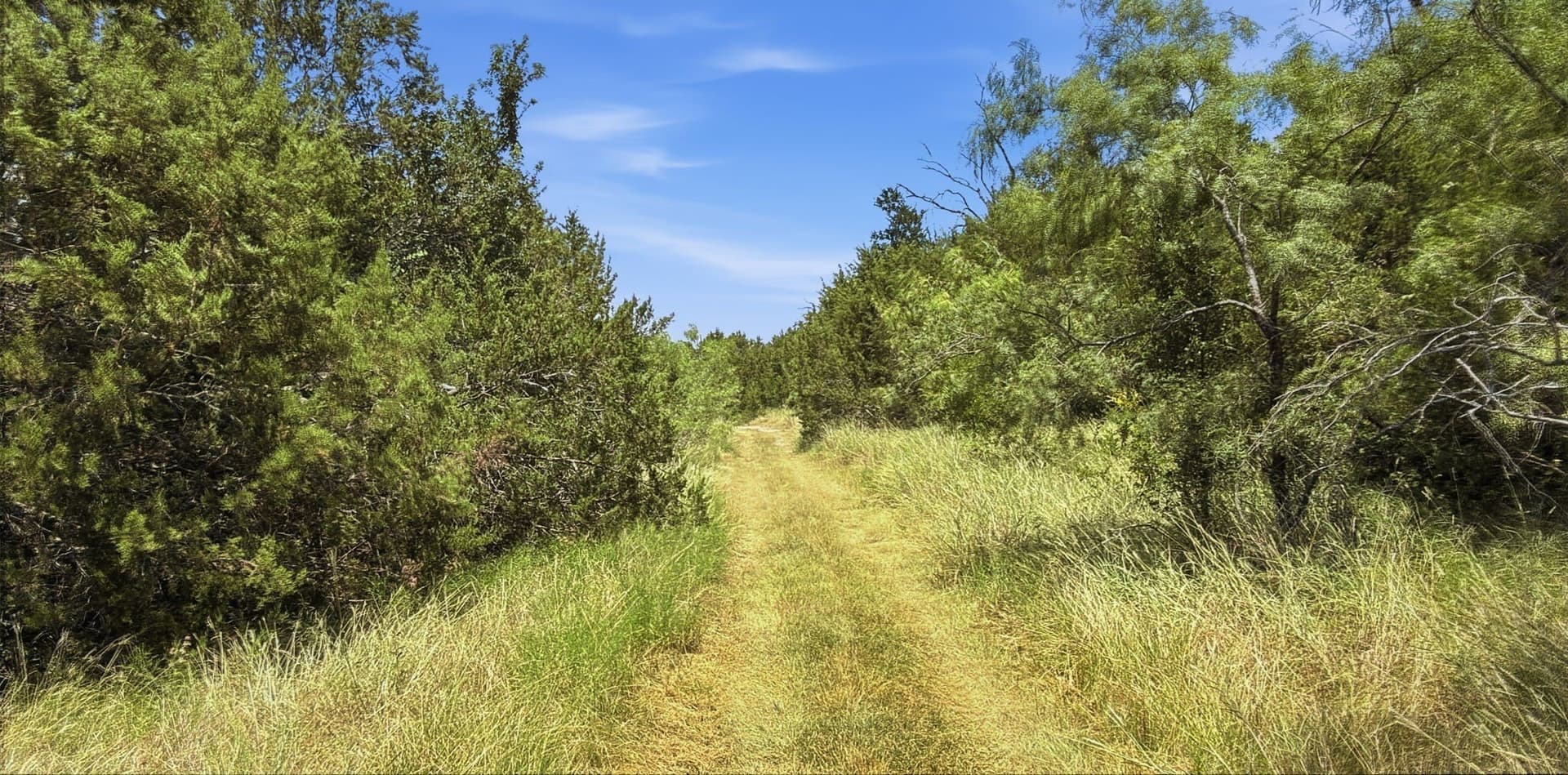 250 acres in Hamilton County - photo 20