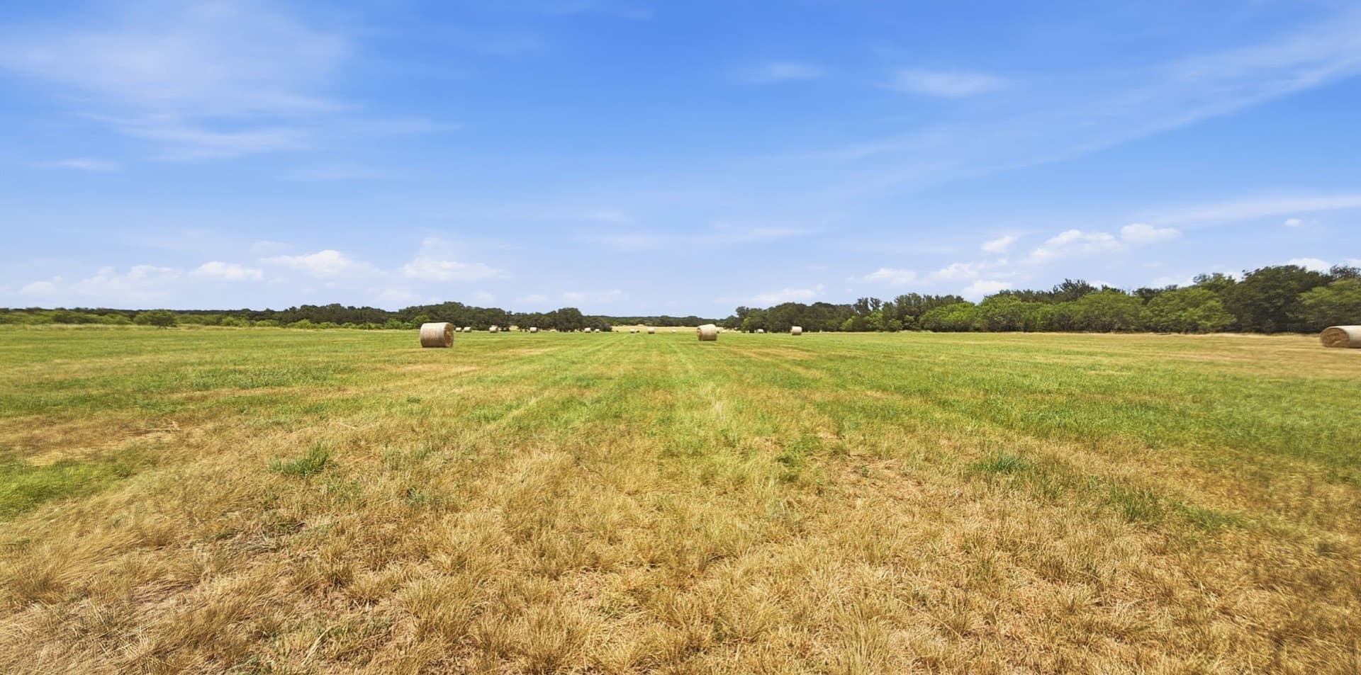 250 acres in Hamilton County - photo 8
