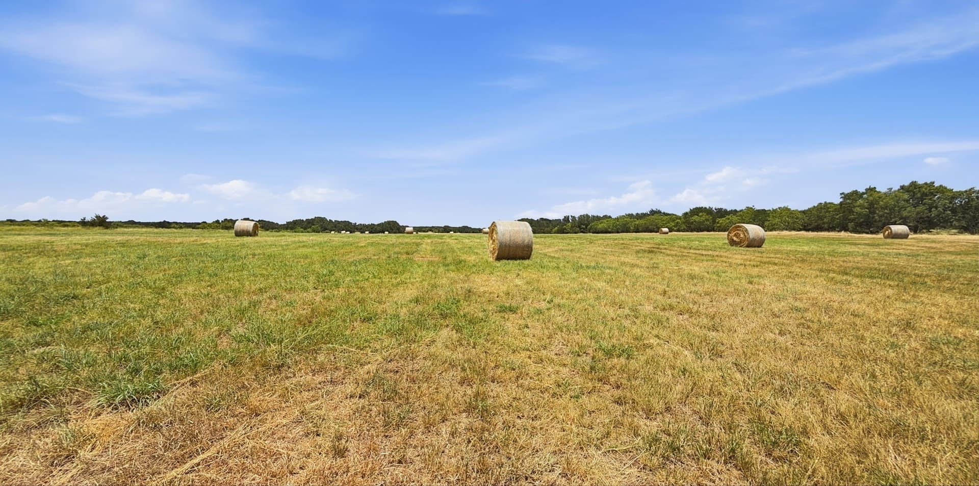 250 acres in Hamilton County - photo 7