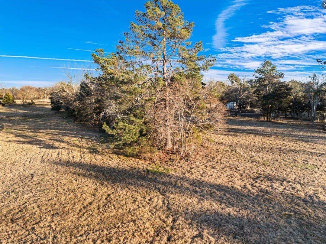 4 acres in Smith County - photo 10
