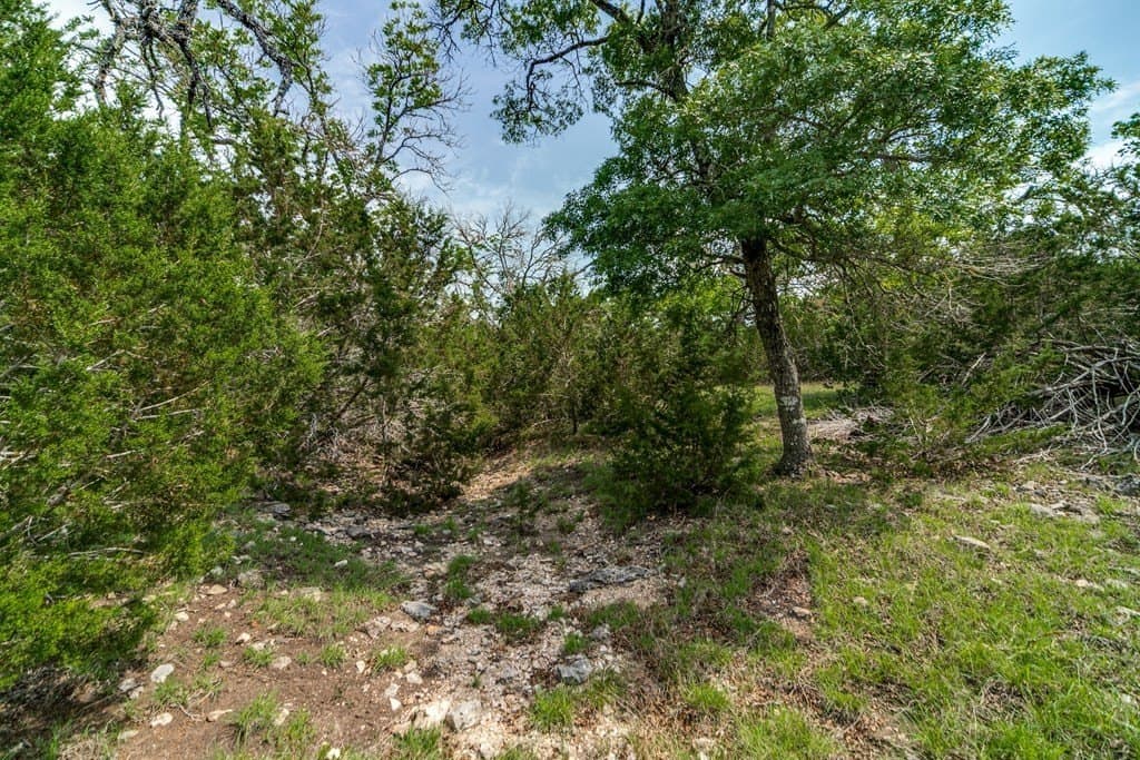 32.27 acres in Gillespie County featured view