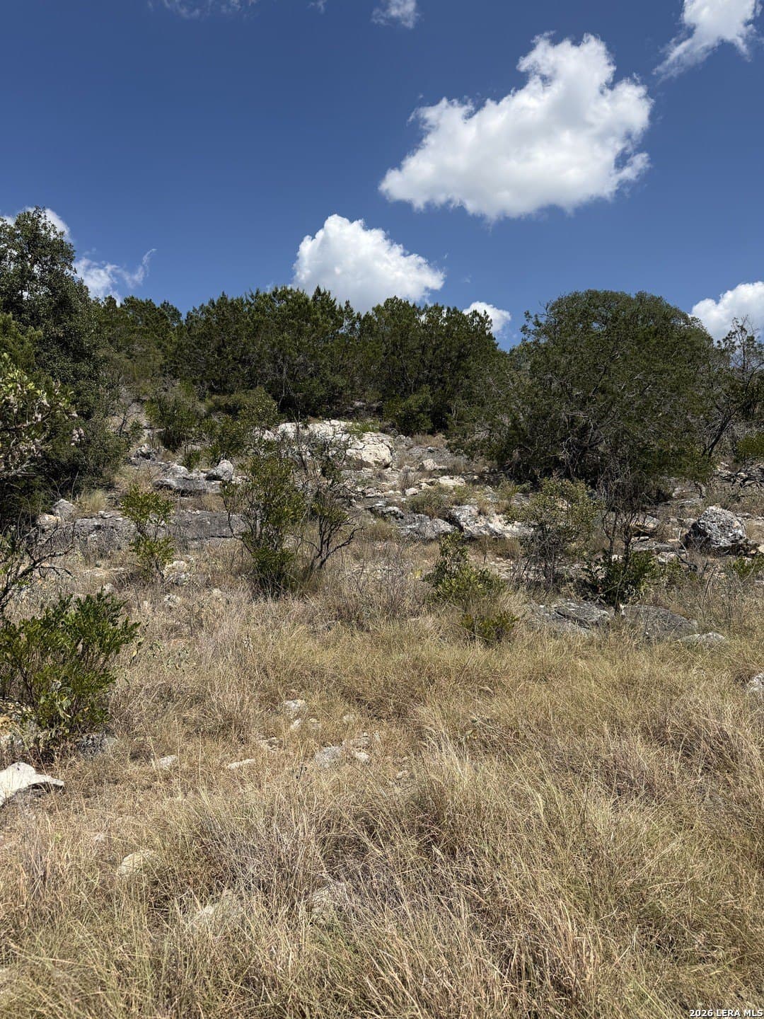 34.75 acres in Edwards County - photo 8