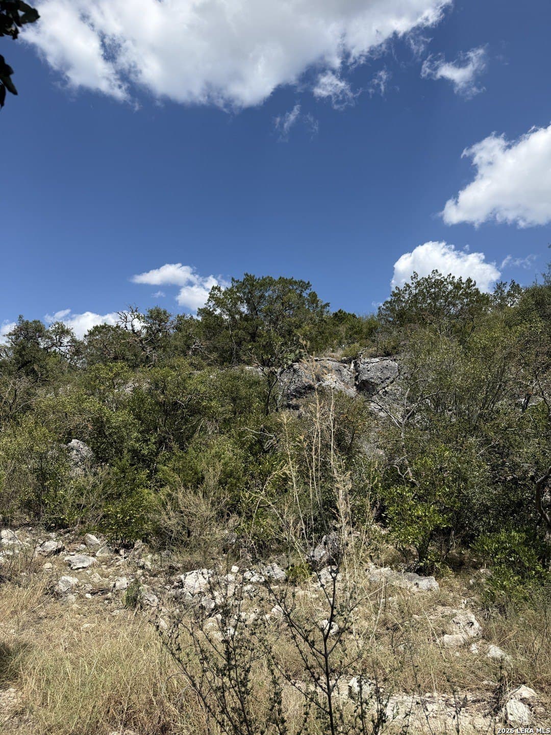 34.75 acres in Edwards County - photo 10