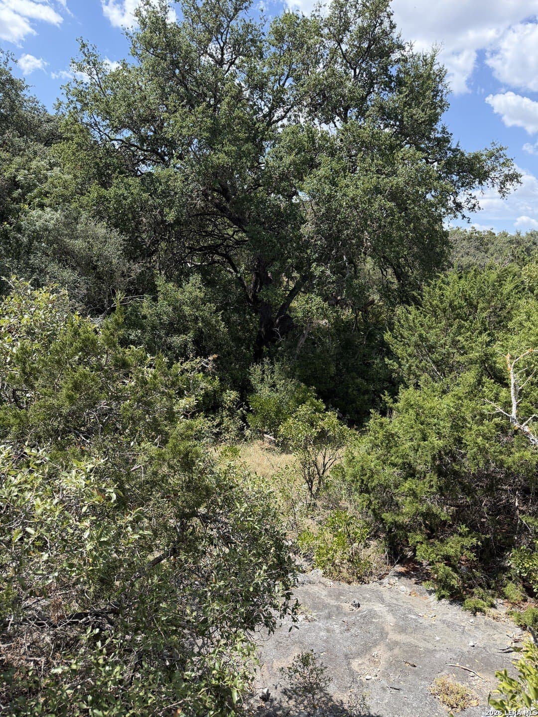 34.75 acres in Edwards County - photo 5