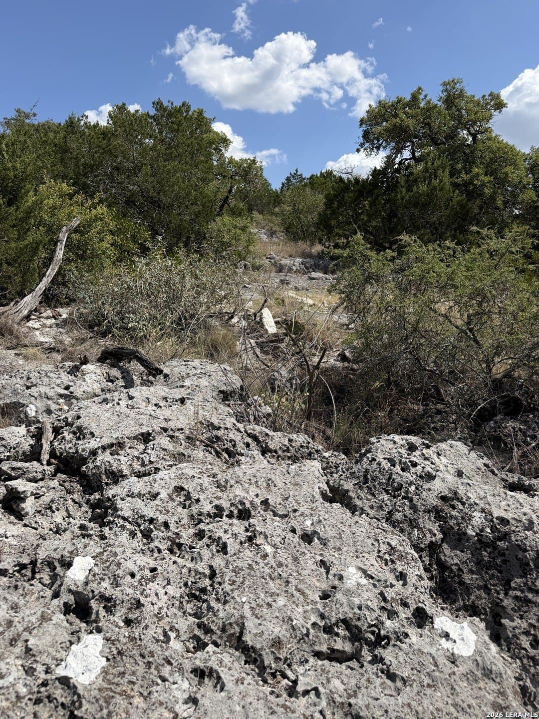 34.75 acres in Edwards County - photo 15