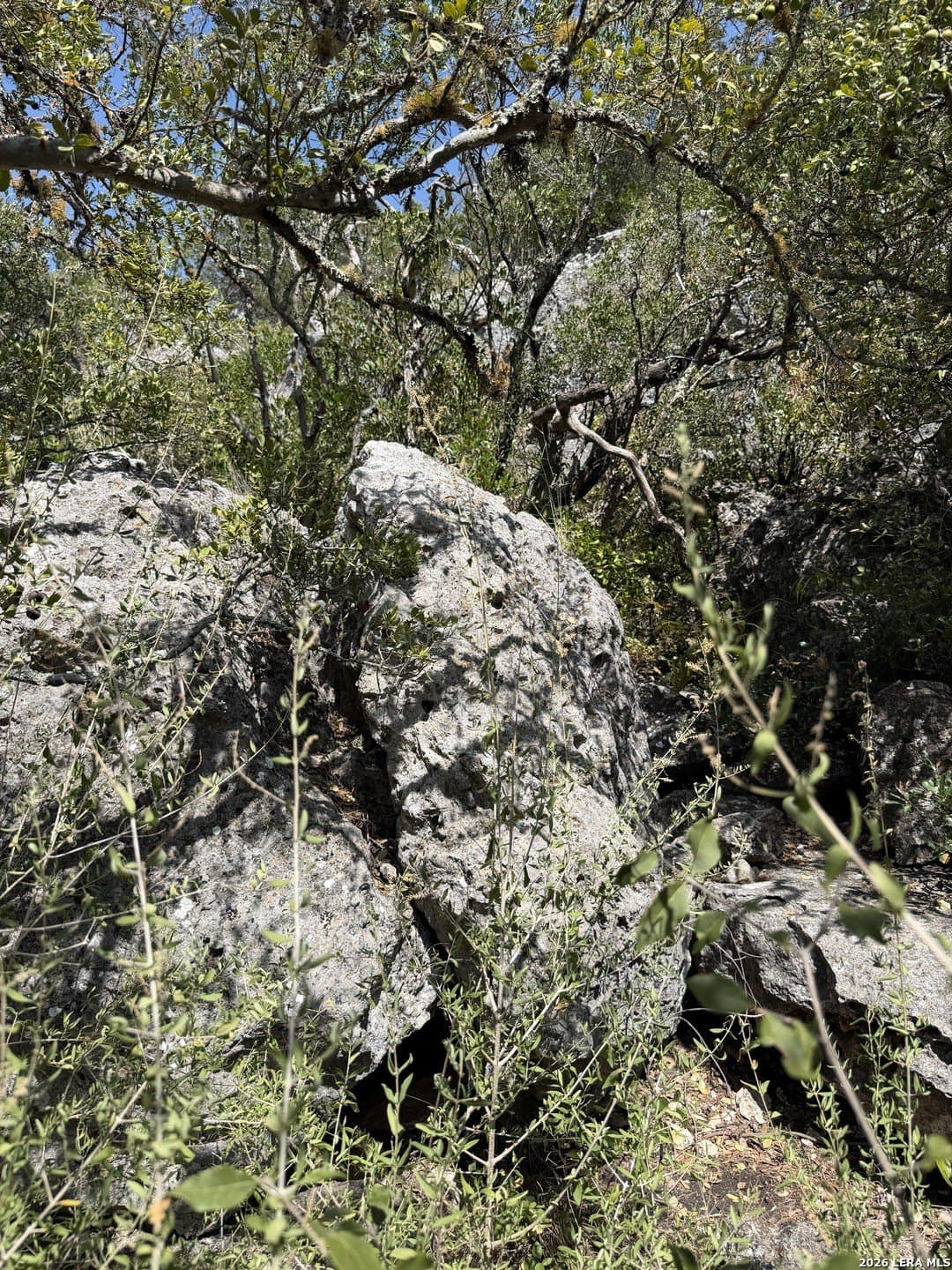 34.75 acres in Edwards County - photo 11