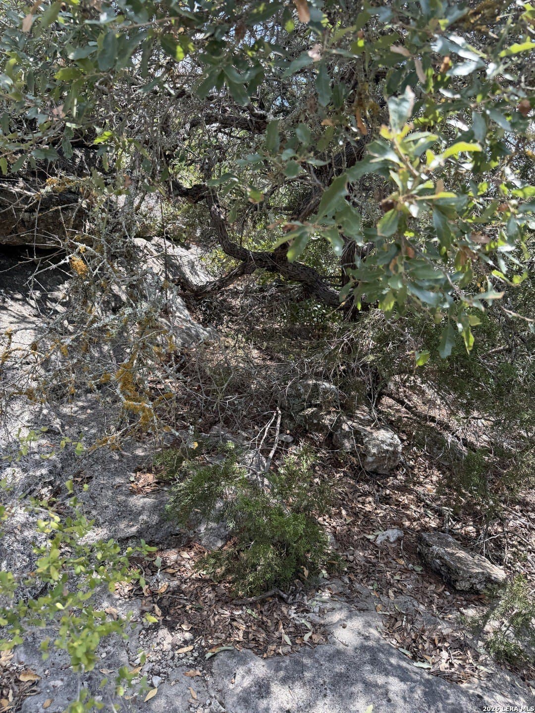 34.75 acres in Edwards County - photo 12