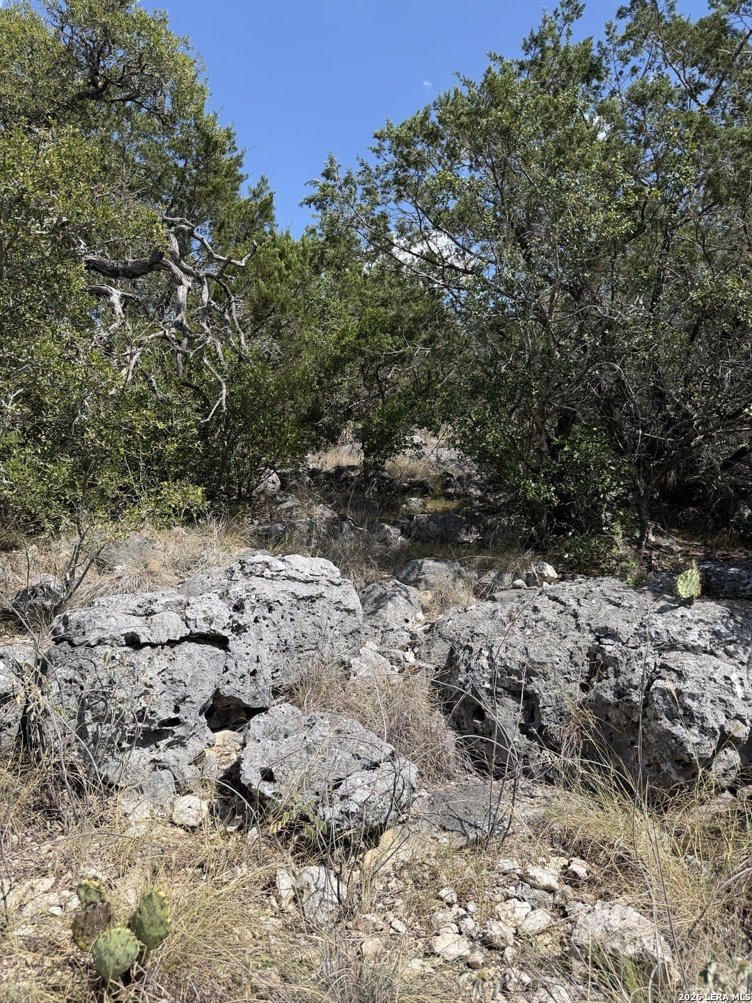 34.75 acres in Edwards County - photo 14