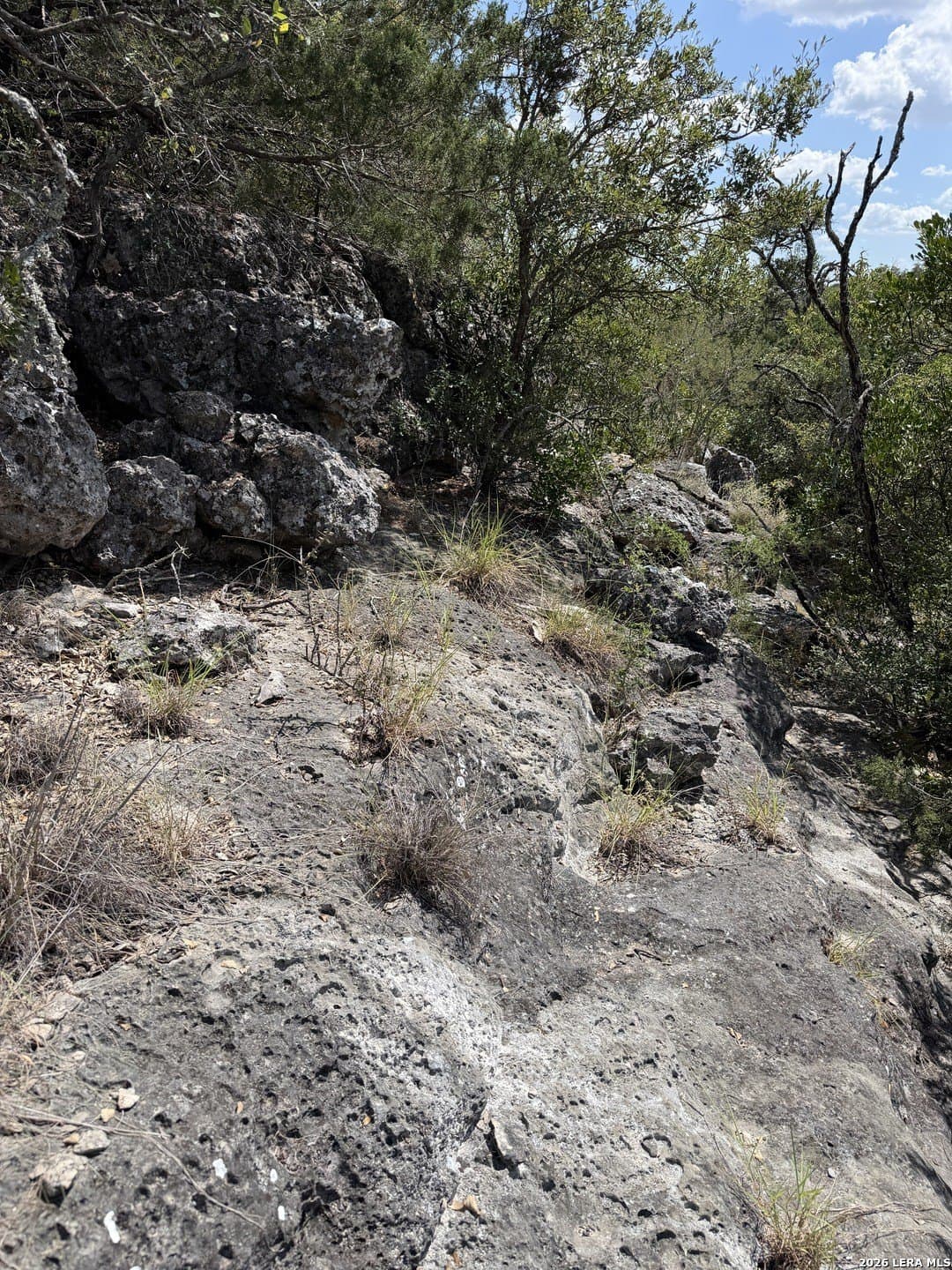 34.75 acres in Edwards County - photo 3