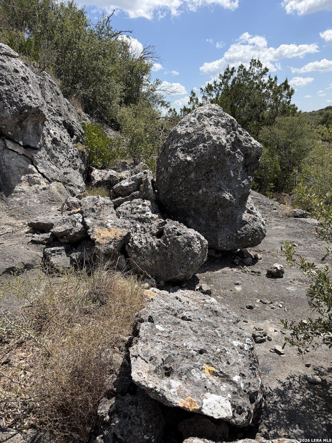 34.75 acres in Edwards County - photo 6