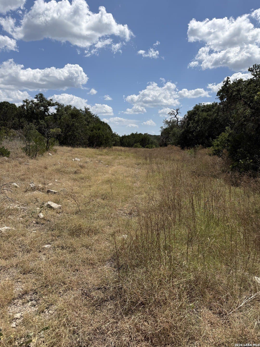 34.75 acres in Edwards County - photo 7
