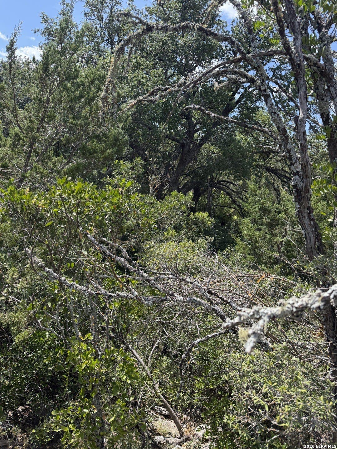 34.75 acres in Edwards County - photo 4