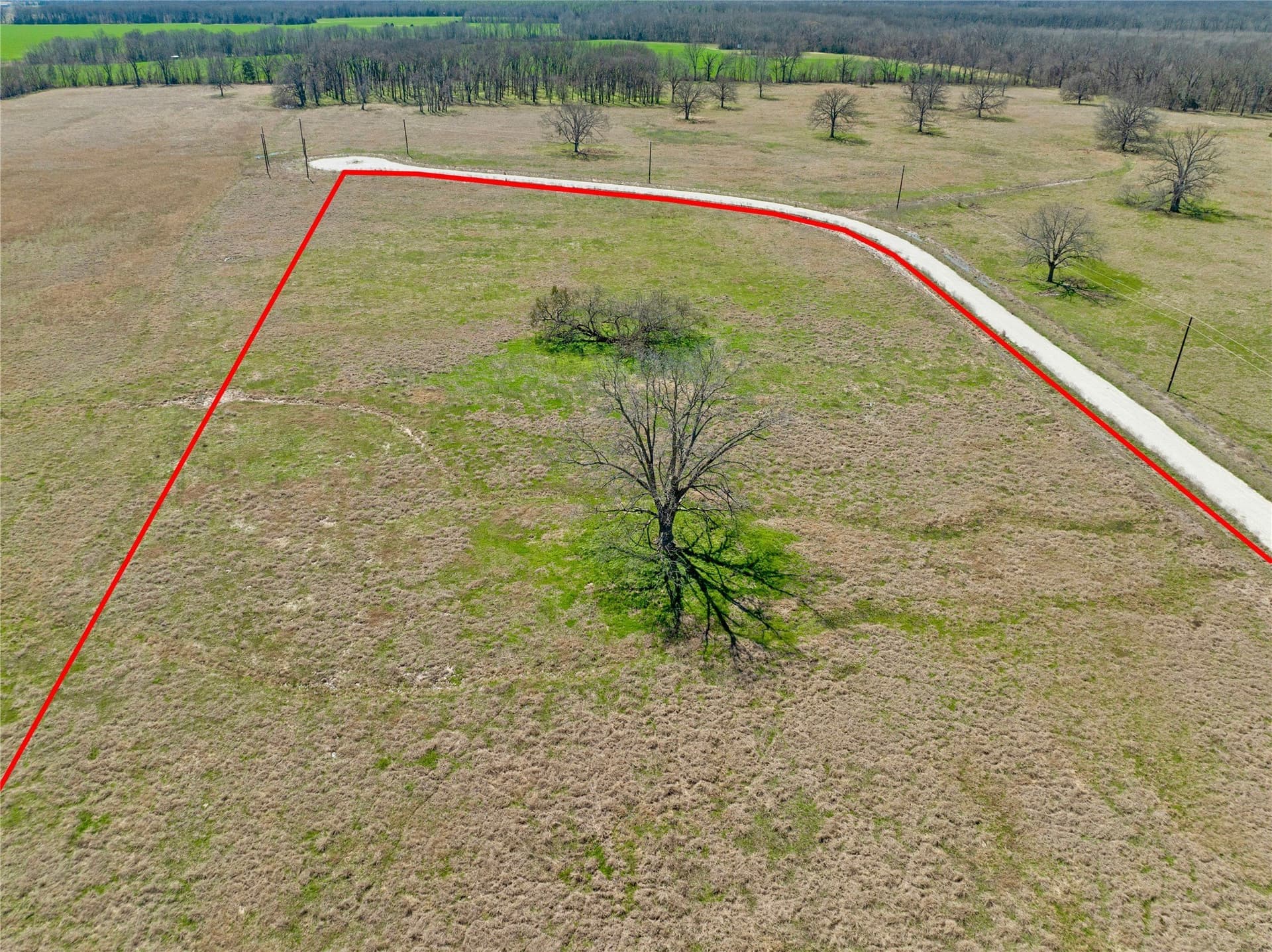 10.01 acres in Lamar County - photo 14