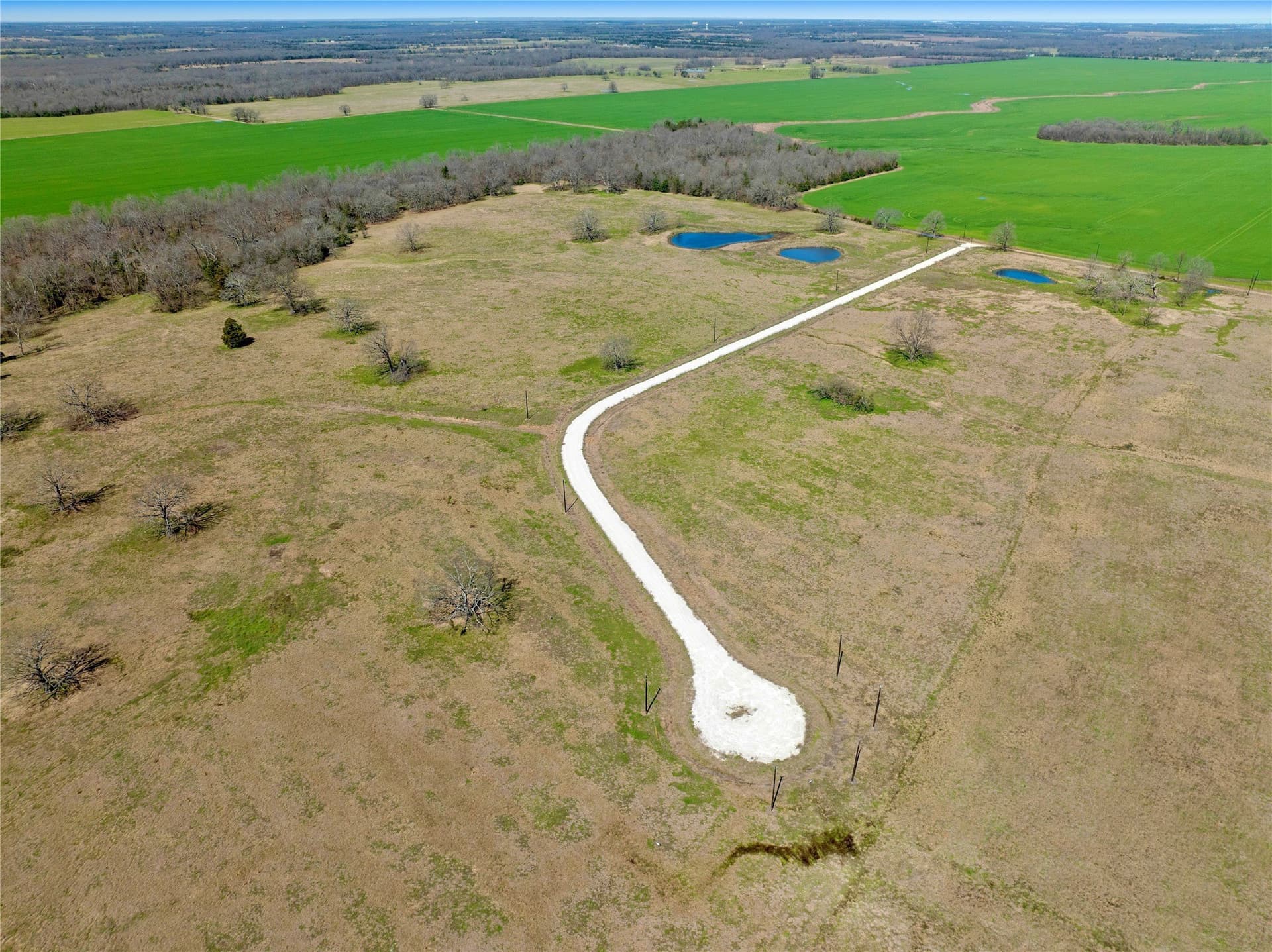 10.01 acres in Lamar County - photo 6
