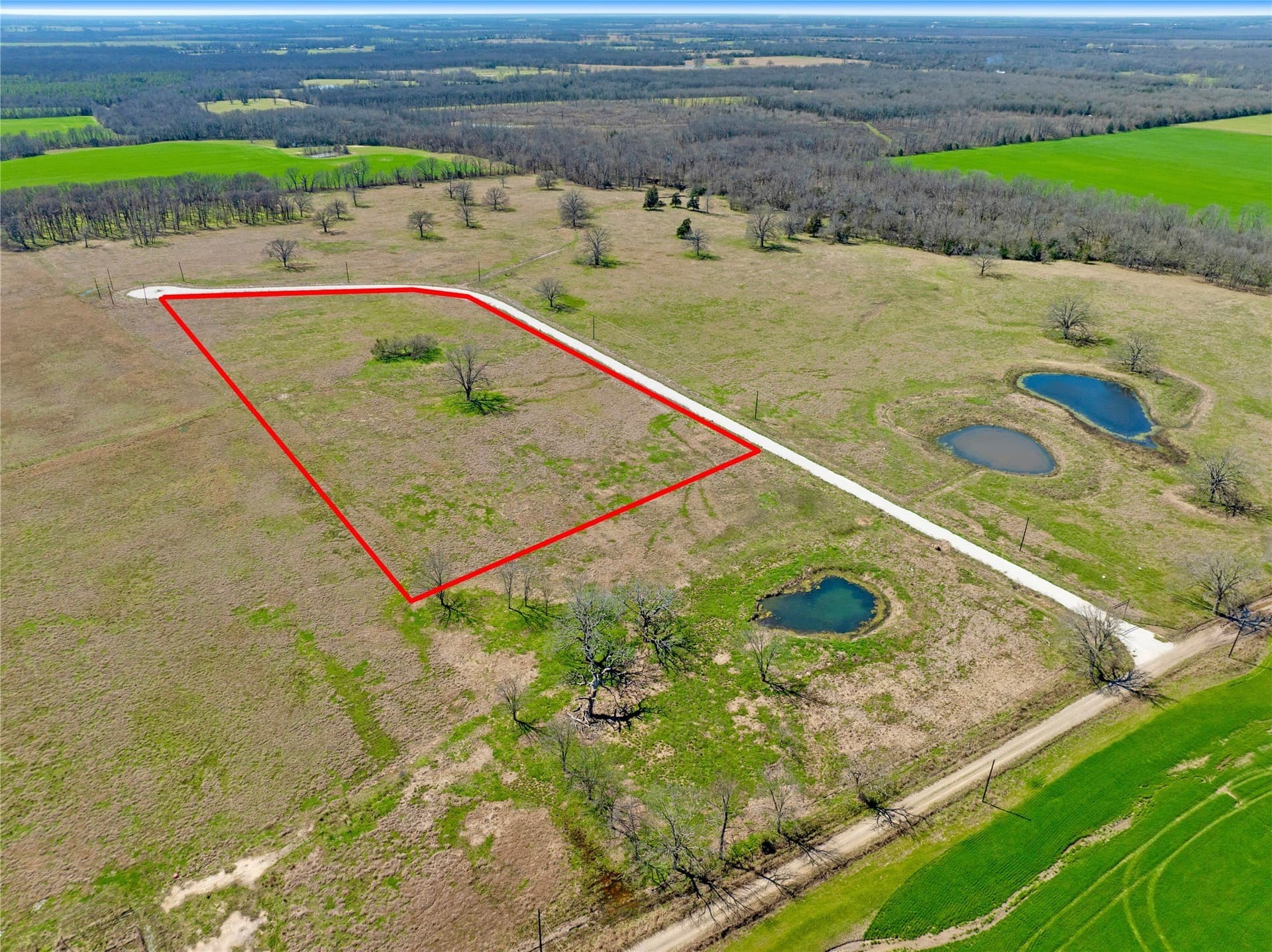 10.01 acres in Lamar County - photo 4
