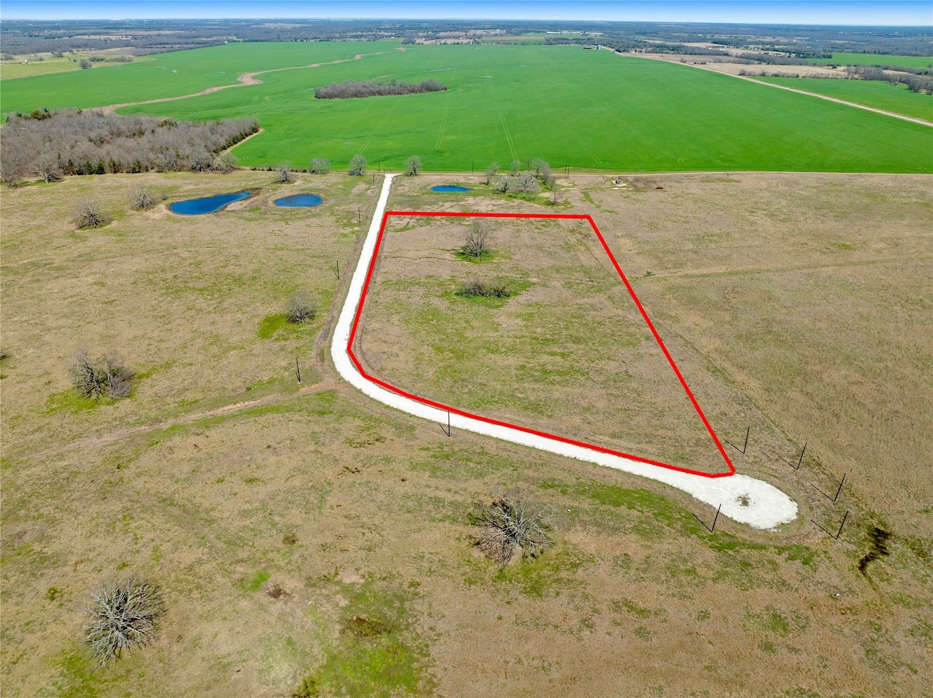 10.01 acres in Lamar County - photo 8