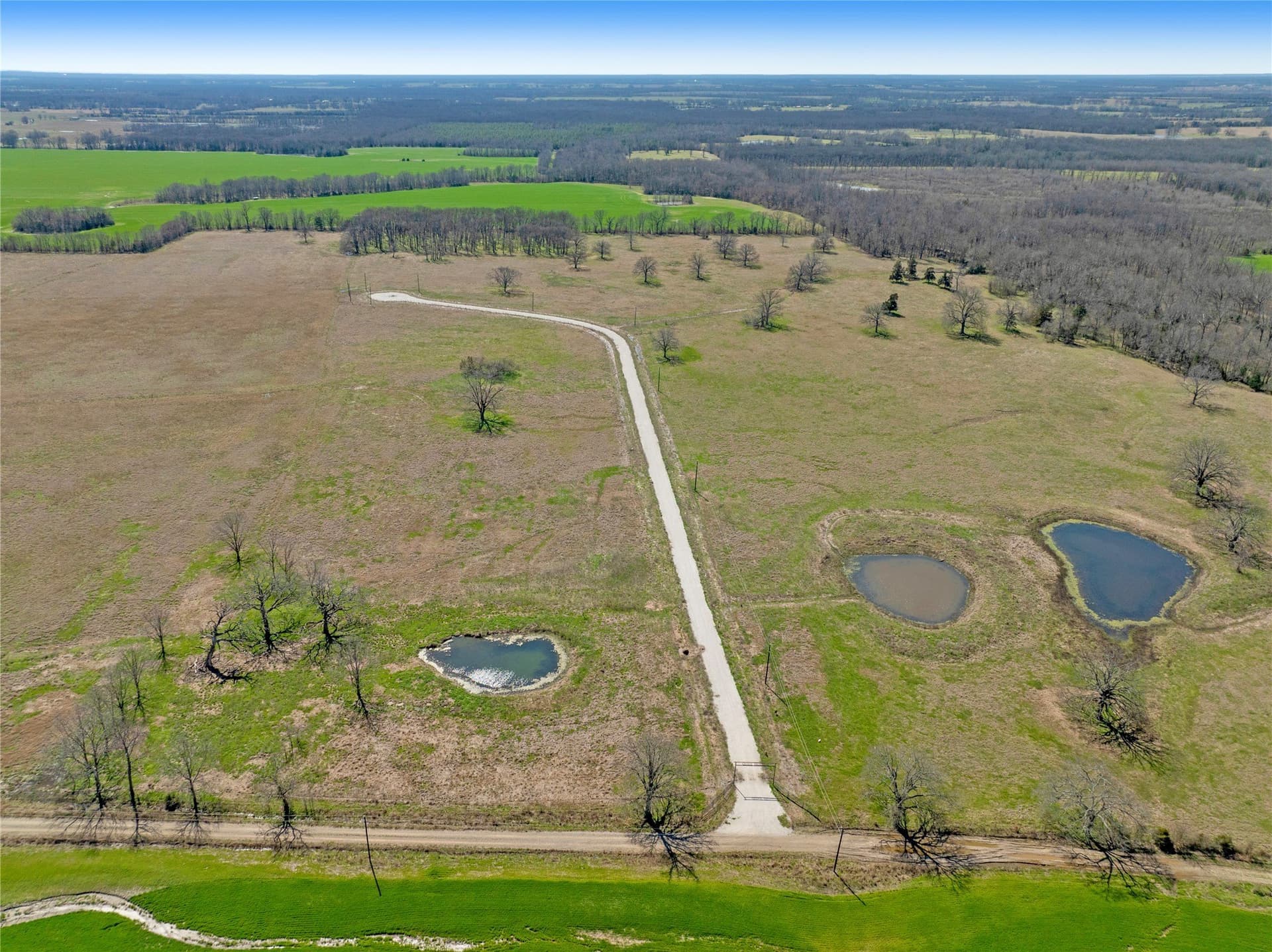 10.01 acres in Lamar County - photo 2