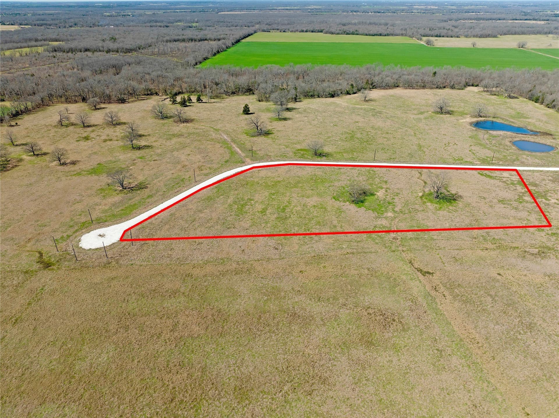 10.01 acres in Lamar County - photo 5