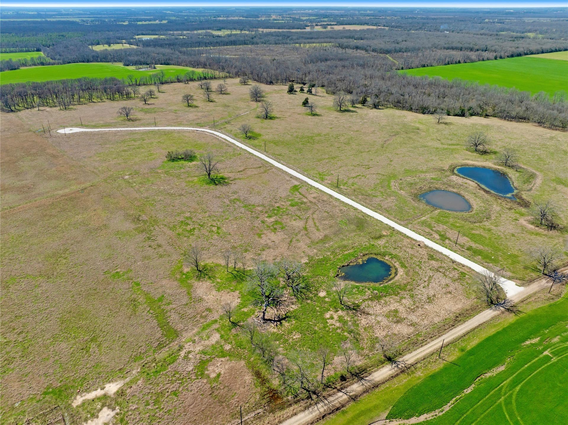 10.01 acres in Lamar County - photo 3