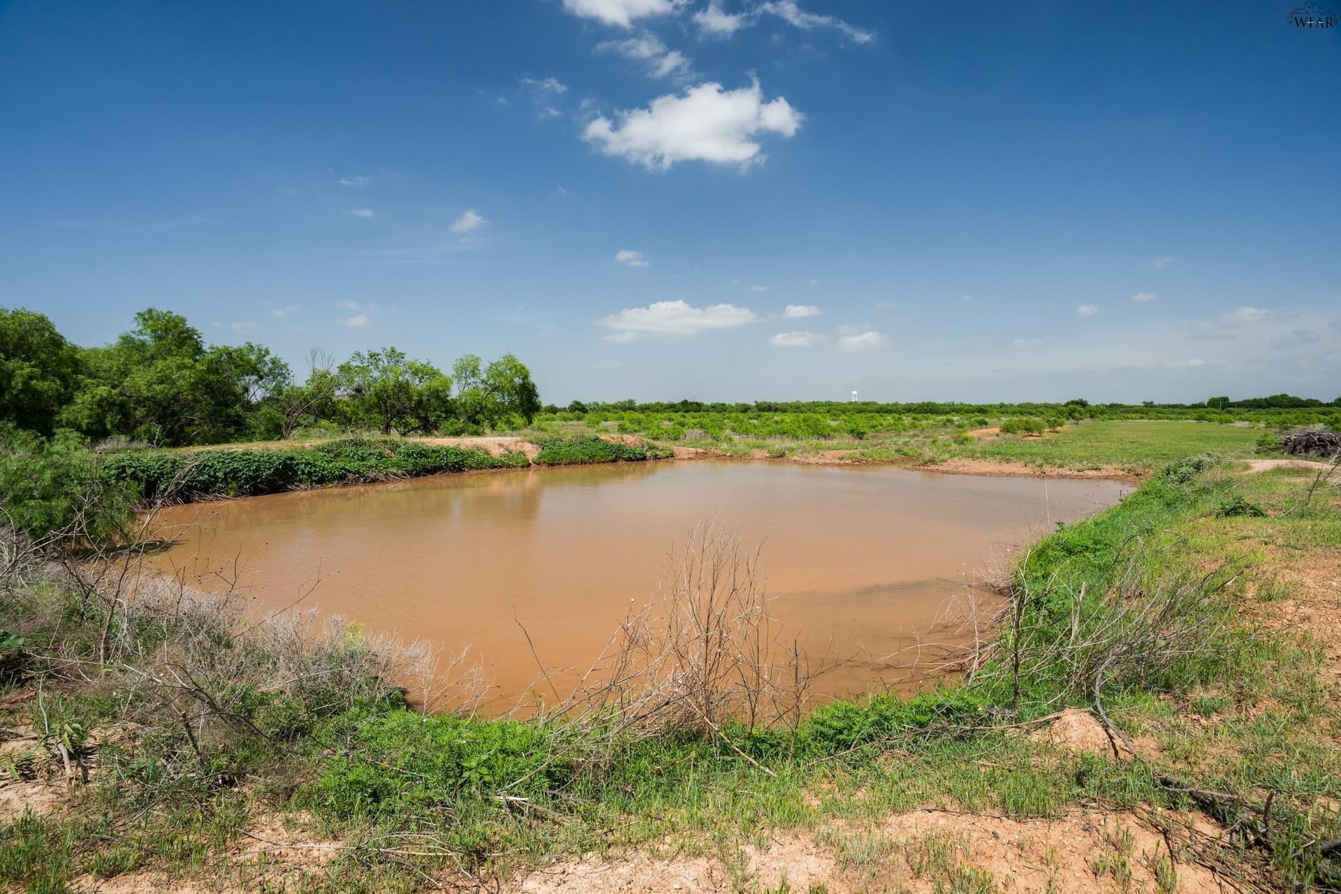 47.22 acres in Wichita County gallery image 4