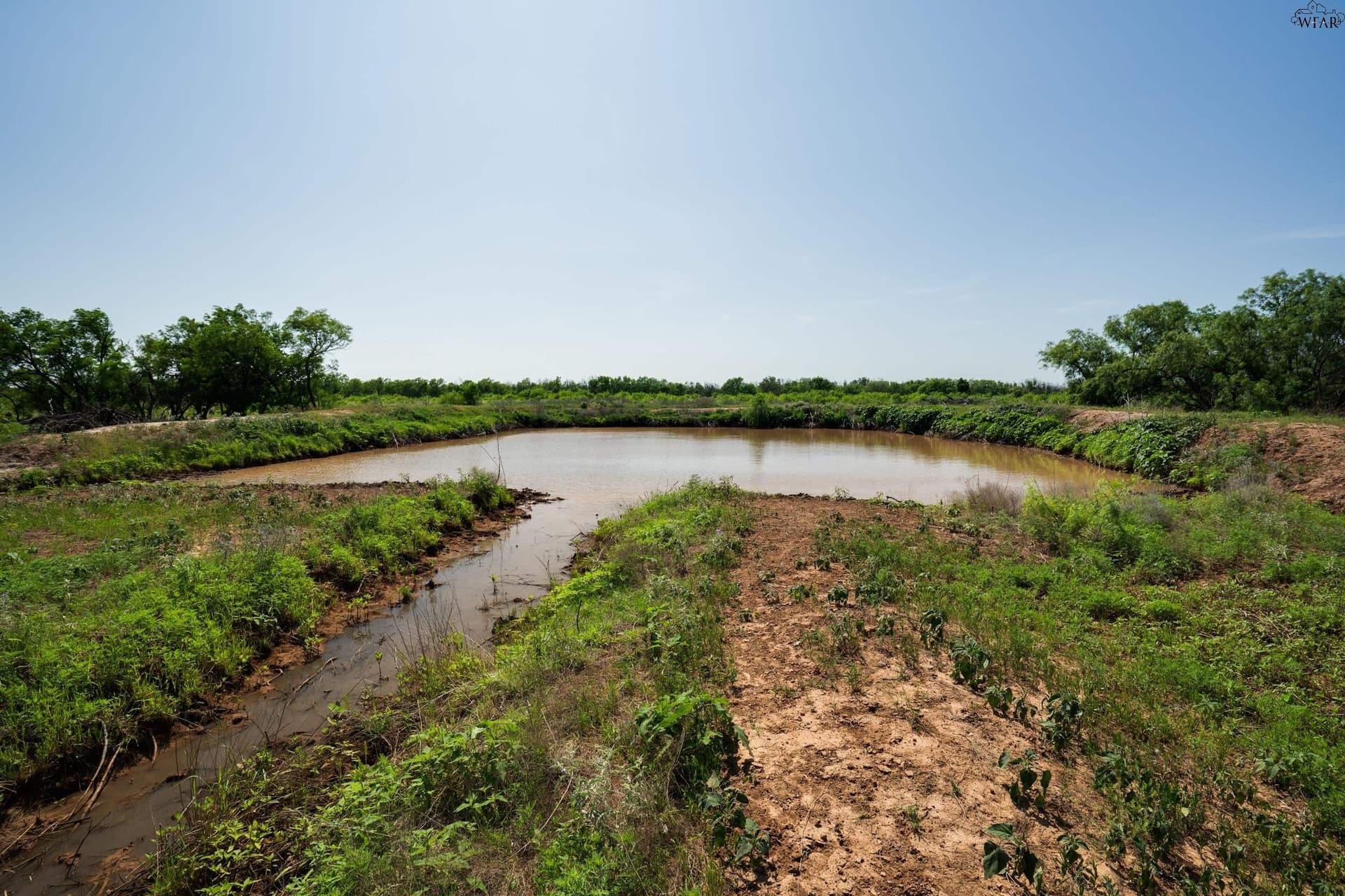 47.22 acres in Wichita County featured view
