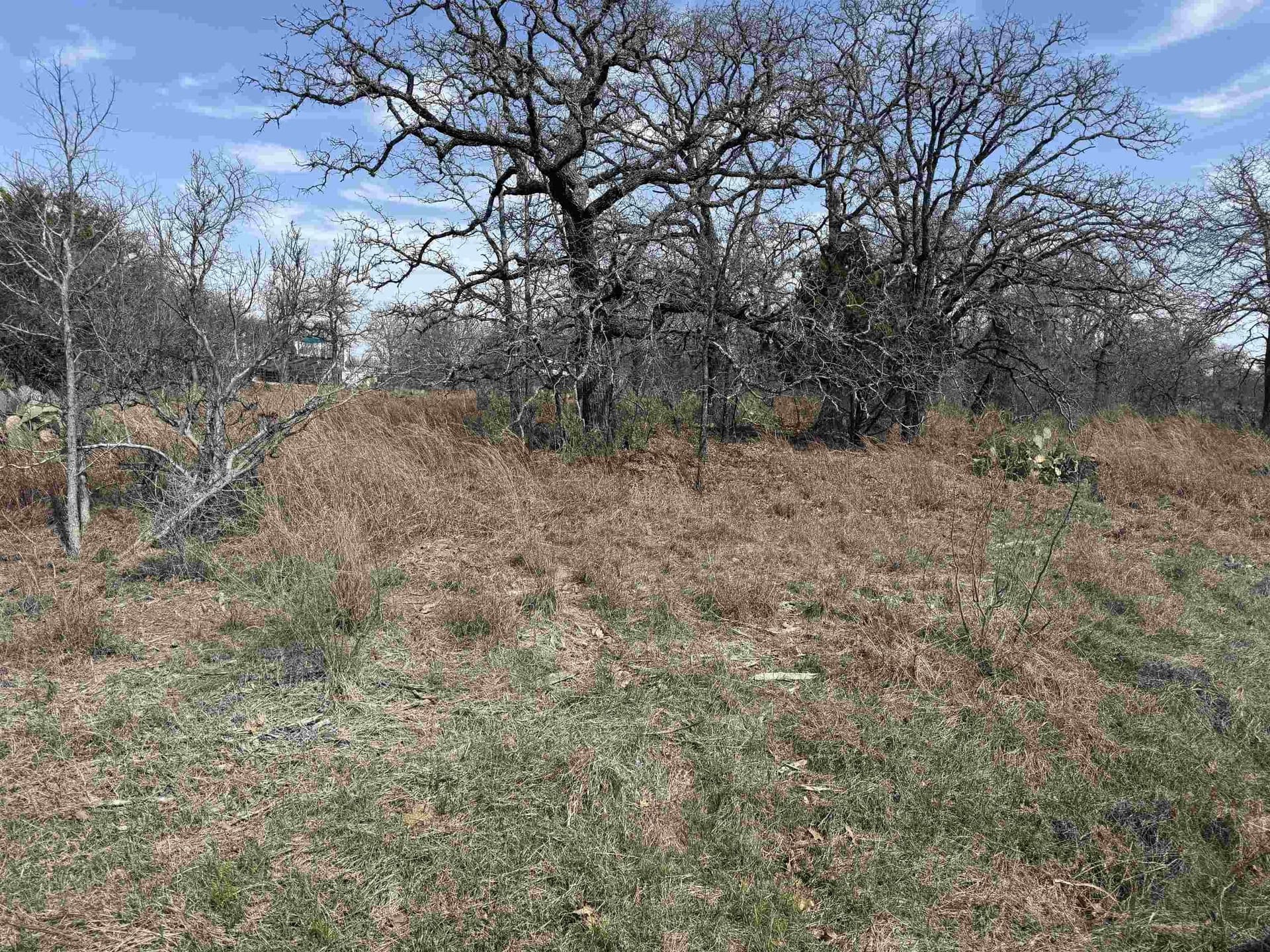 0.28 acres in Blanco County gallery image 2