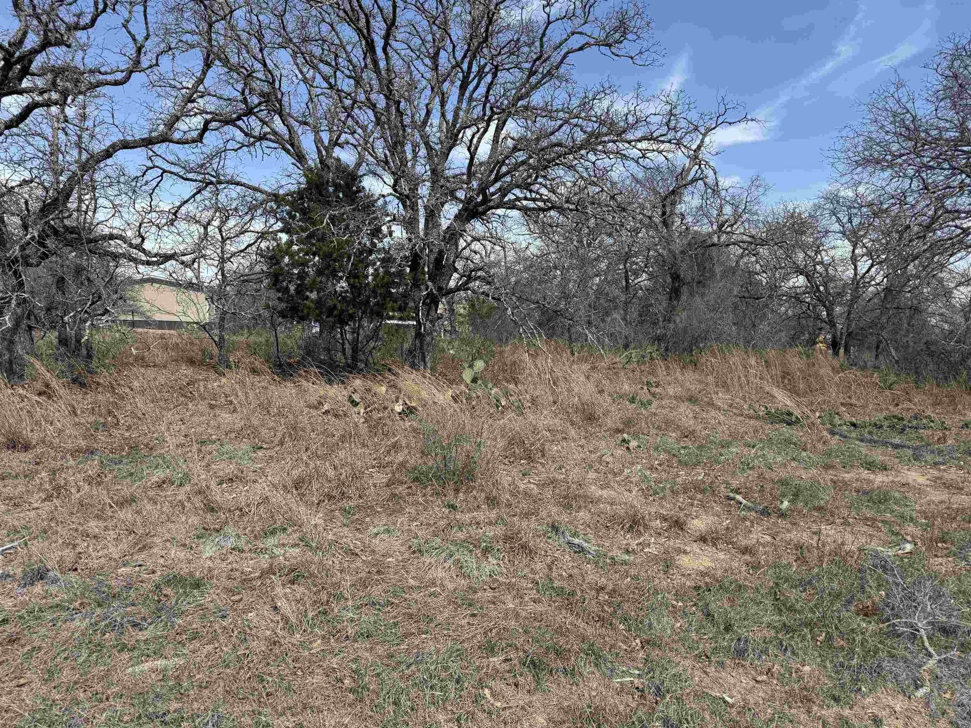 0.28 acres in Blanco County gallery image 3