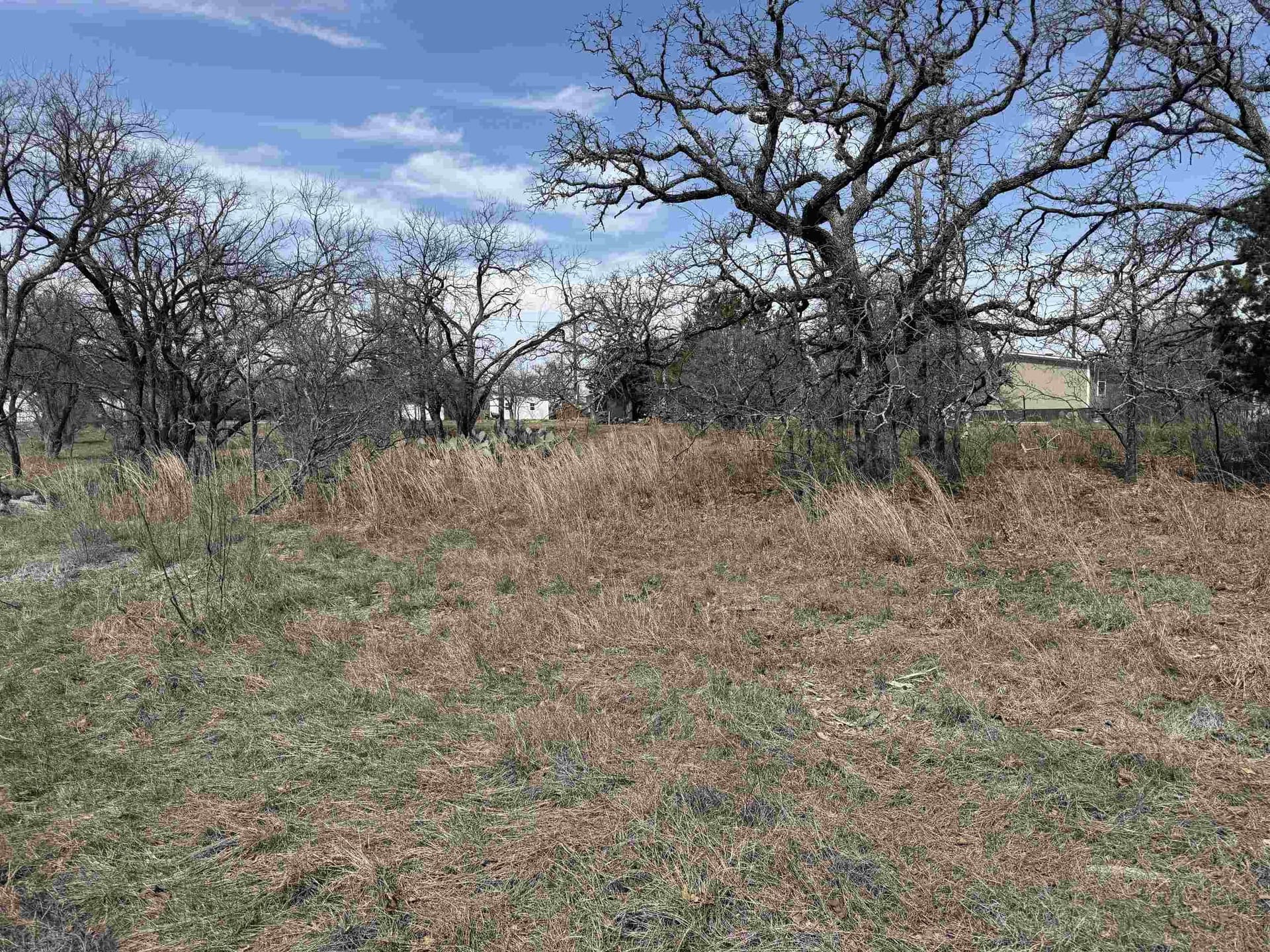0.28 acres in Blanco County gallery image 4