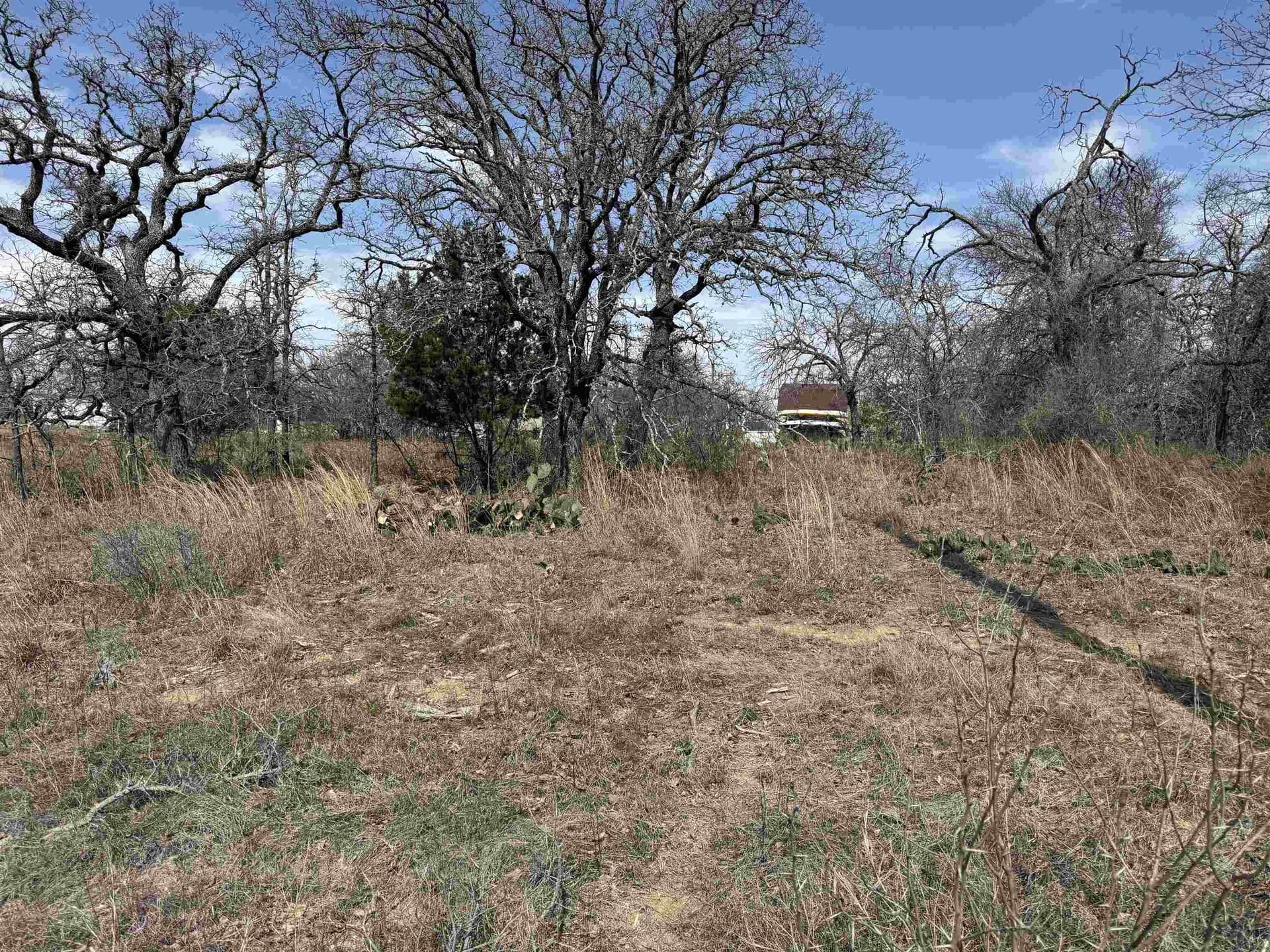 0.28 acres in Blanco County featured view
