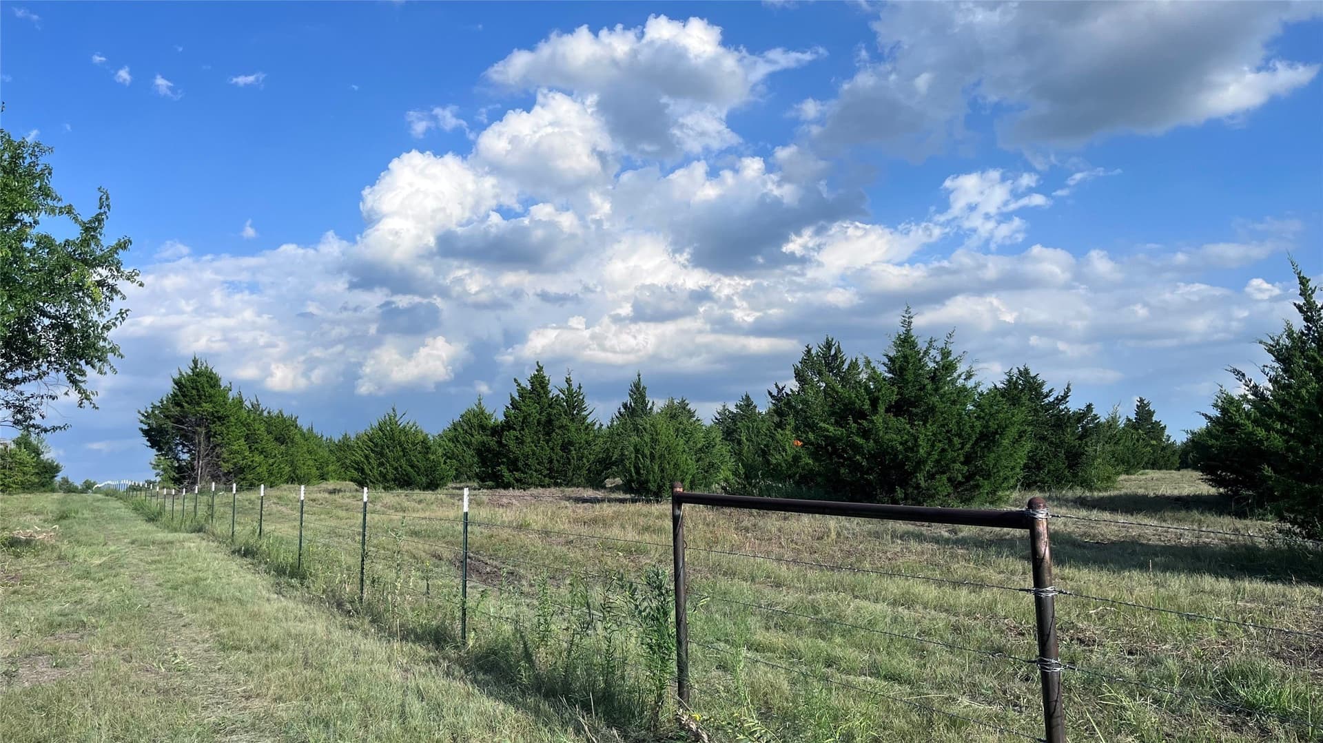 16.06 acres in Grayson County - photo 13
