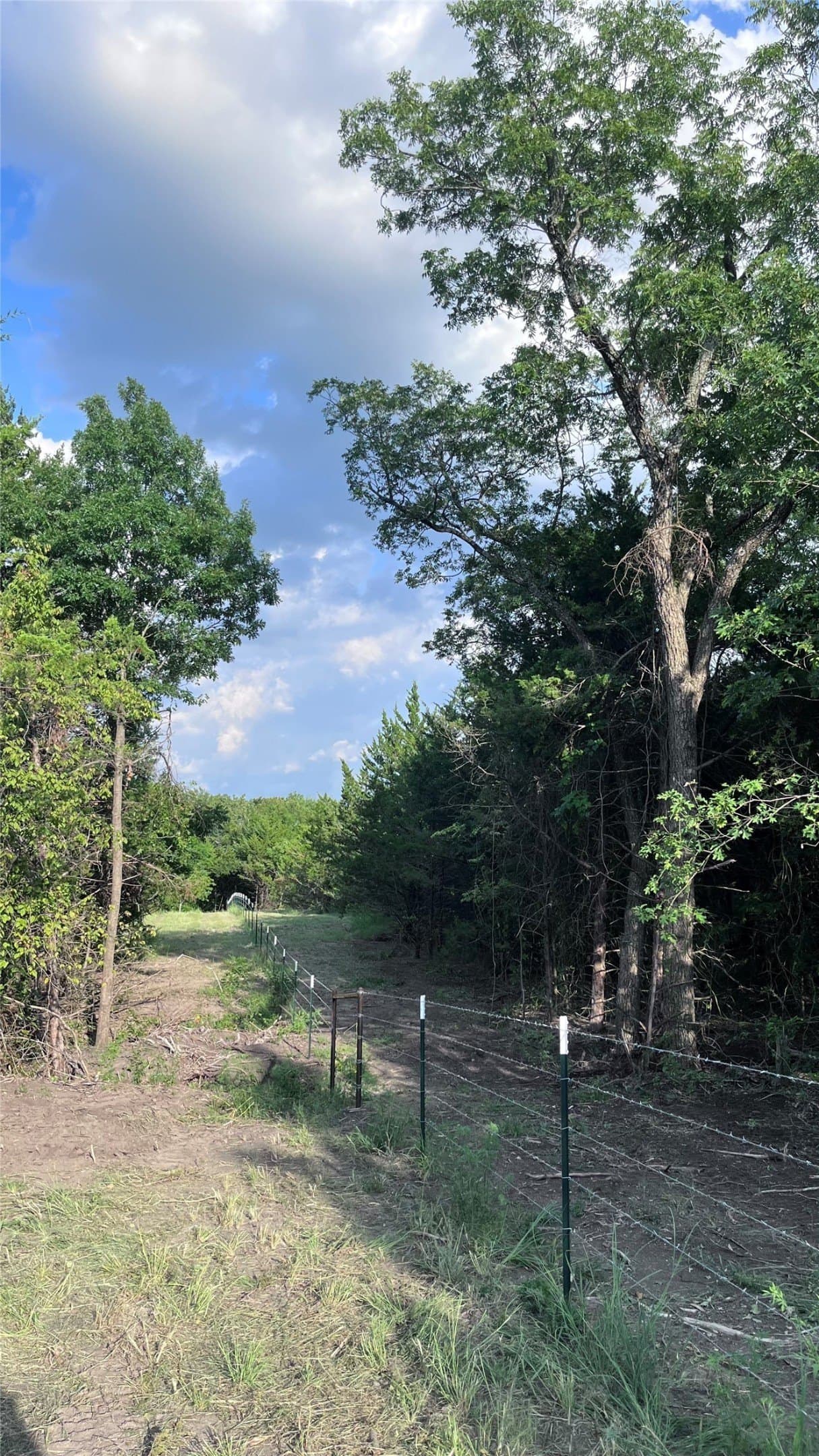 16.06 acres in Grayson County - photo 9