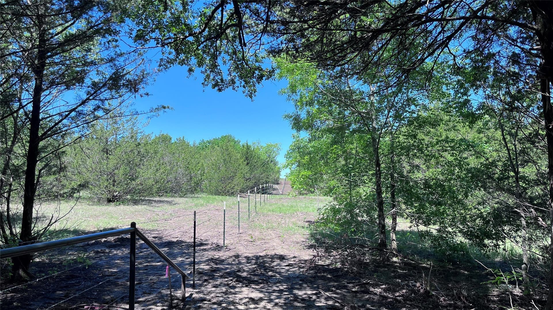 16.06 acres in Grayson County - photo 7