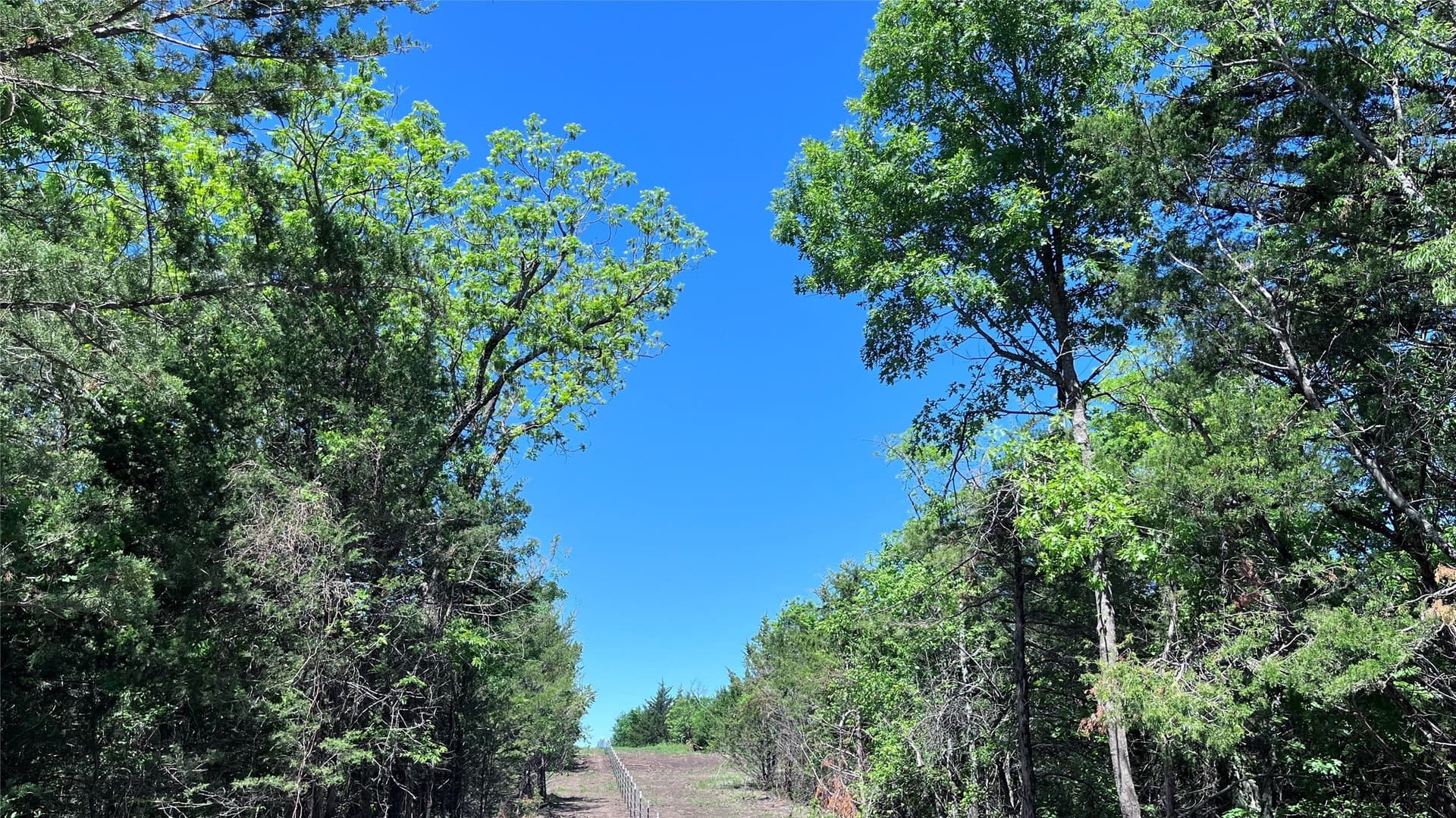16.06 acres in Grayson County - photo 14