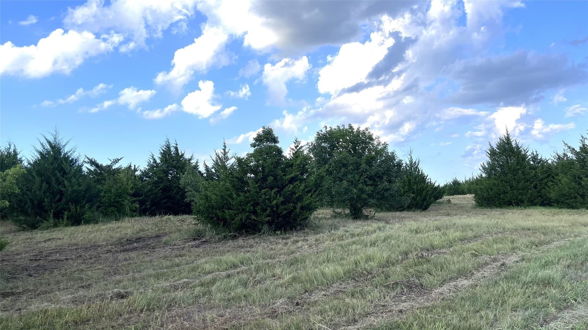 16.06 acres in Grayson County - photo 8