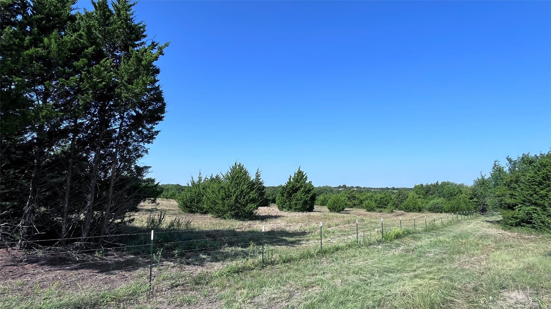 16.06 acres in Grayson County - photo 10