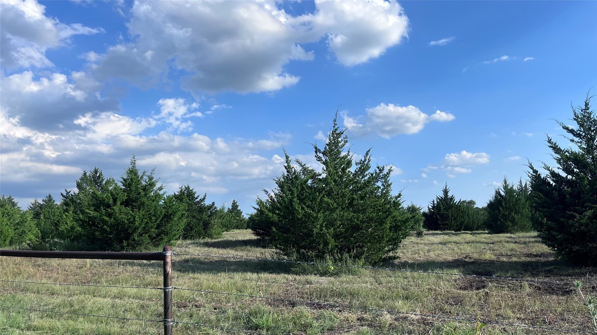 16.06 acres in Grayson County - photo 12